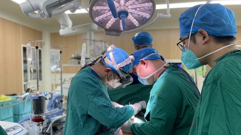 Hiểu rõ các dây thần kinh vùng hàm mặt: Chức năng và các bệnh lý liên quan 3