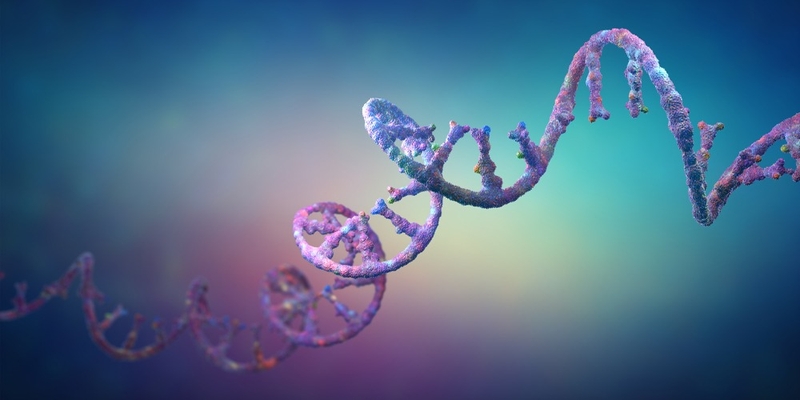 hieu-ro-hon-ve-the-tiet-ngoai-bao-trong-khoi-u 3.jpg