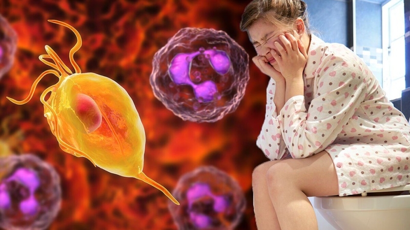 Hiểu rõ về cấu tạo bộ phận sinh dục nữ 3D: Hiểu biết khoa học để bảo vệ sức khỏe 3