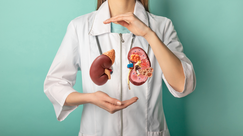 Hiểu rõ về những nguyên nhân suy thận để phòng tránh 1