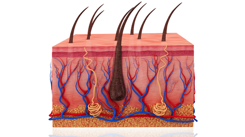 Hiểu về các dấu hiệu lão hóa da để sống vui khỏe mỗi ngày 1