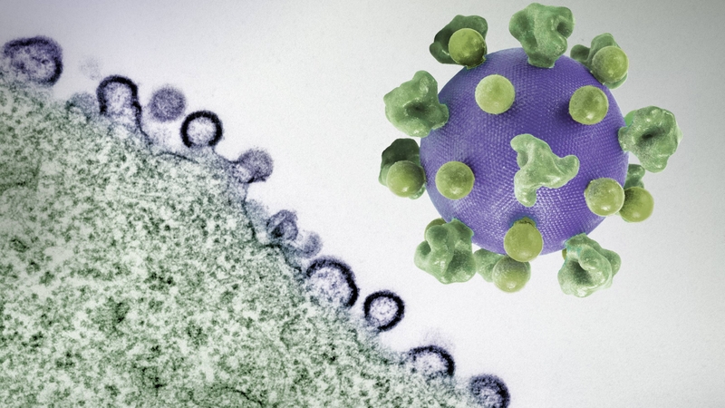 HIV có lây qua đường nước bọt không? Câu trả lời là khả năng lây nhiễm cực kỳ thấp