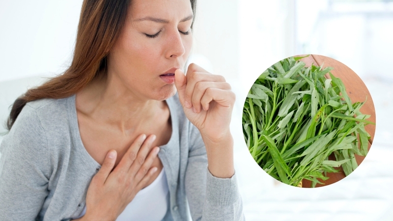 Câu trả lời cho thắc mắc người bị ho ăn rau muống được không