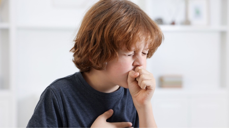 Trẻ em có nguy cơ cao tái nhiễm ho gà