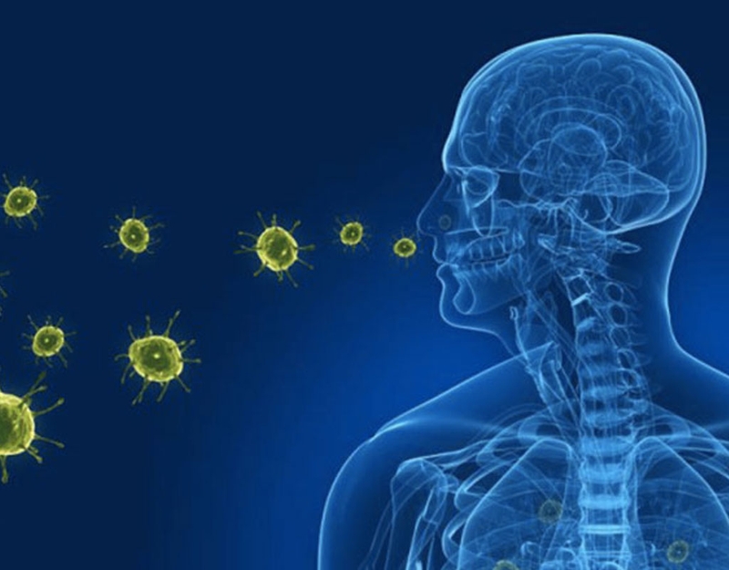 Hỗ trợ hệ hô hấp khỏe mạnh với viên uống Jpanwell Lung Care 2