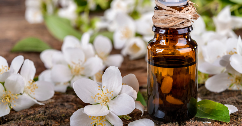 Hoa bưởi và những ứng dụng của hoa bưởi trong đời sống và y học 4