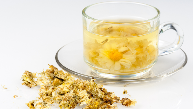 Hoa cúc chi mang lại nhiều lợi ích cho sức khỏe, tuy nhiên không phải ai cũng phù hợp sử dụng