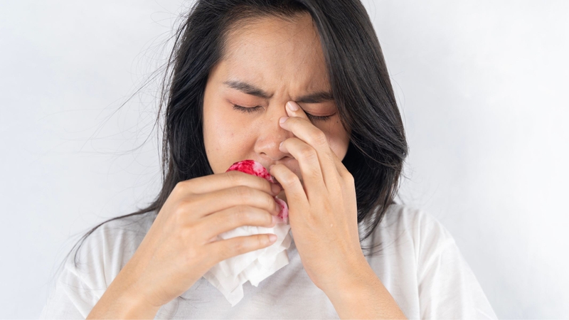 Hoa dành dành được dùng trong các trường hợp chảy máu cam