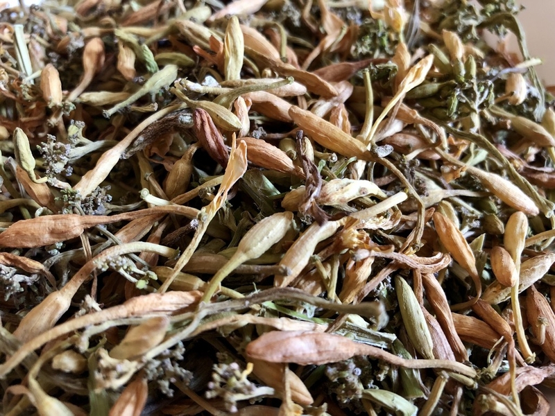 Thực hư về bài thuốc hoa đu đủ đực chữa u tuyến giáp 3