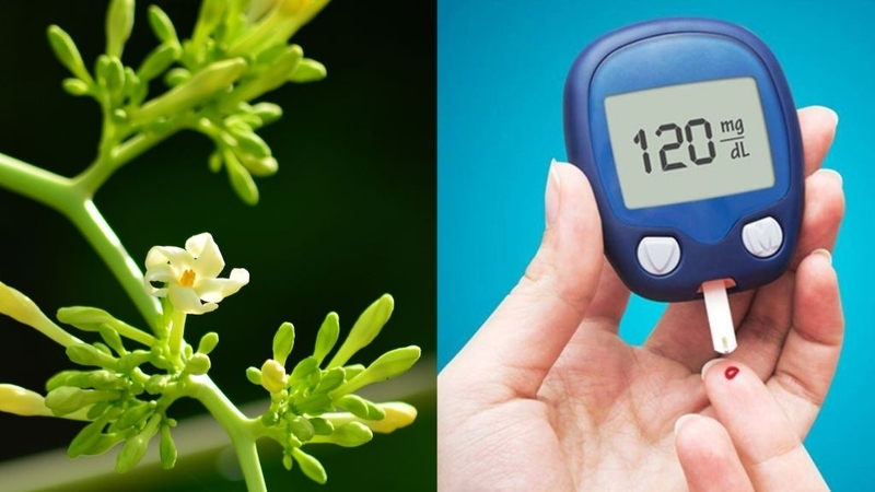 Hoa đu đủ đực tươi và hoa đu đủ đực khô: Chúng có gì tốt cho sức khỏe? 1