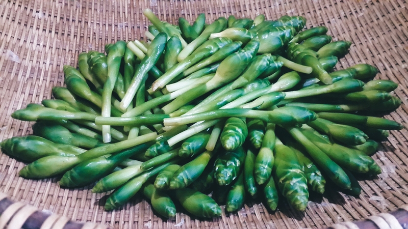 Hoa gừng thành phần dinh dưỡng và công dụng với sức khỏe - 5