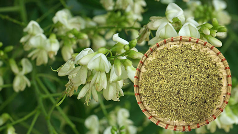 Top 5 Cách dùng hoa hòe chữa bệnh trĩ hiệu quả tại nhà 3