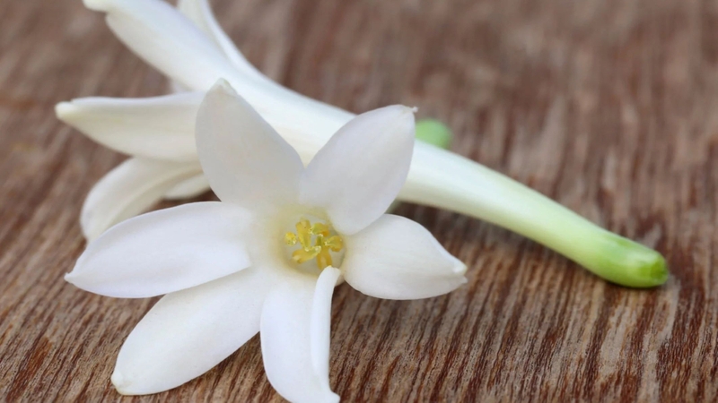 Hoa huệ có ăn được không​? Cần lưu ý gì khi sử dụng? 1
