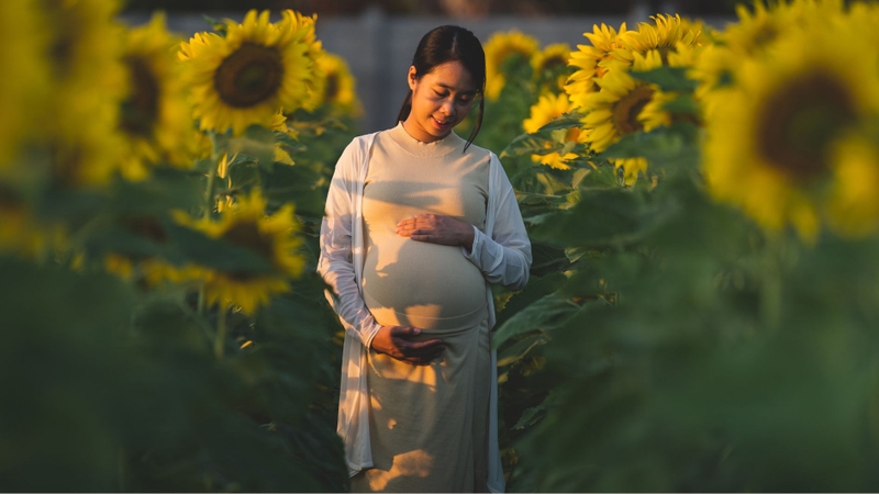 Hạt hướng dương cung cấp axit folic cần thiết cho phụ nữ mang thai