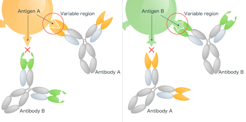 Hóa mô miễn dịch là gì? Cách đọc kết quả hóa mô miễn dịch 2
