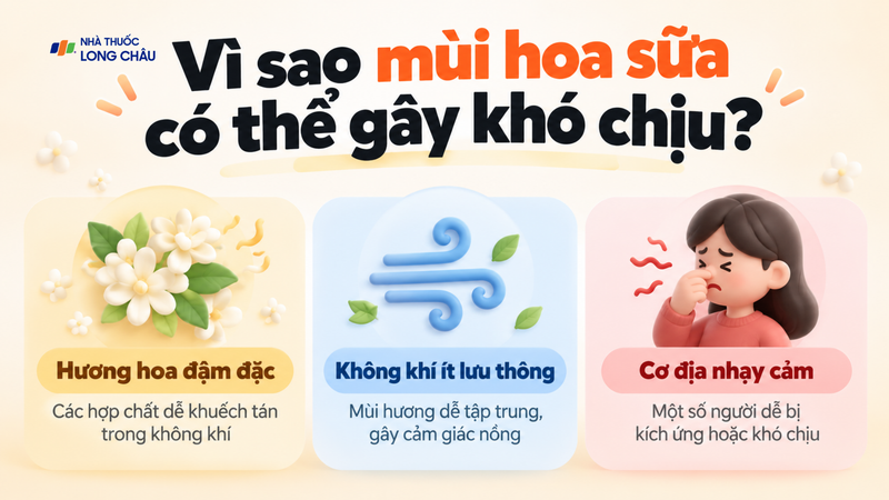 Các hợp chất dễ bay hơi tạo nên mùi hương đặc trưng của hoa sữa
