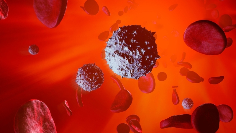 Giải đáp chi tiết hóa trị ảnh hưởng đến hệ thống miễn dịch như thế nào