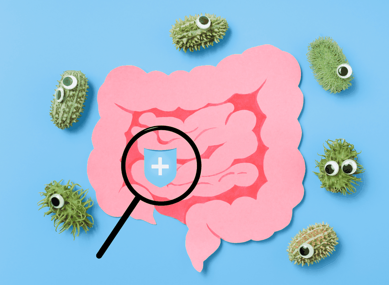 Hoàng bá: Vị thuốc thanh nhiệt với nhiều công dụng mới3.png