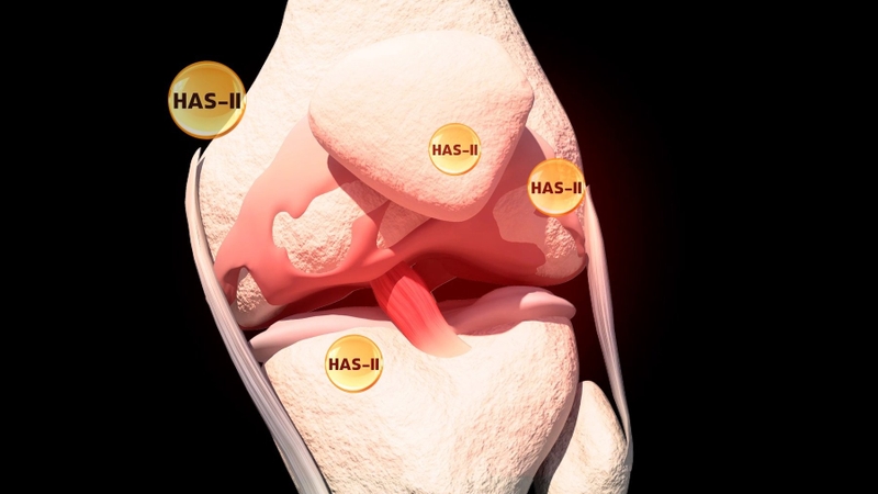 hoat-chat-has-ii-giup-cai-thien-con-dau-cua-benh-nhan-thoat-vi-dia-dem 2.jpg