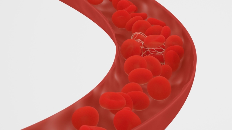 Resveratrol có thể kéo dài thời gian chảy máu và ảnh hưởng quá trình đông máu