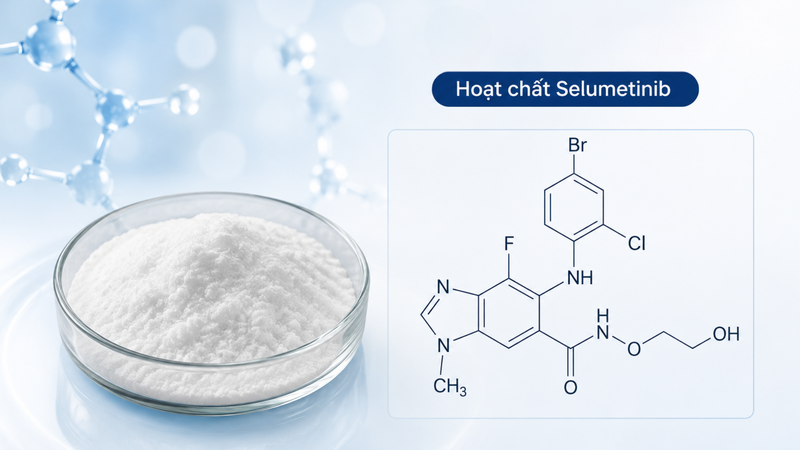 Hoạt chất Selumetinib thuộc nhóm thuốc điều trị đích, có tác dụng ức chế MEK1 và MEK