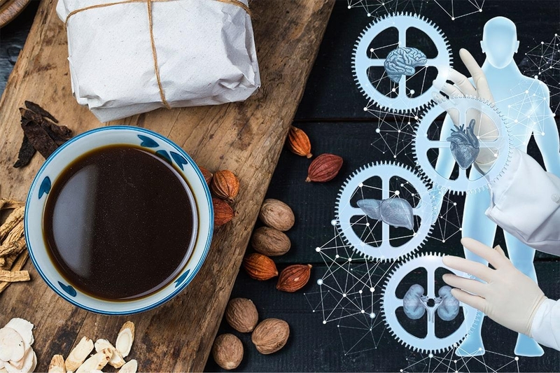 Học thuyết tạng phủ và mối liên hệ với các bệnh lý-1