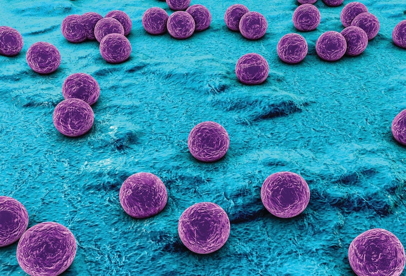 Hội chứng của Lemierre: Những thông tin bạn nên biết 1