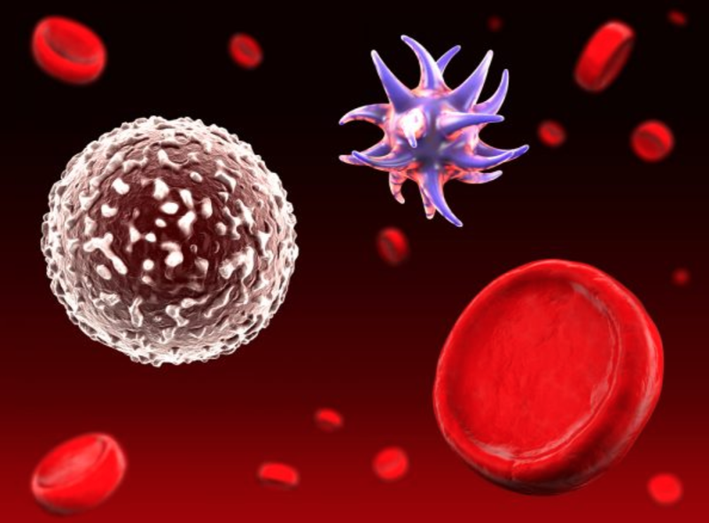 Hội chứng đáp ứng viêm hệ thống là gì? Dấu hiệu nhận biết 3