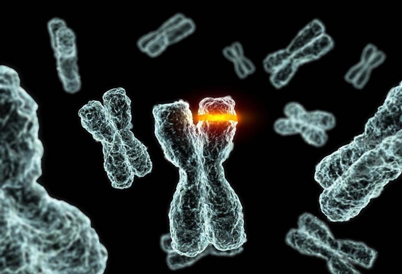 Hội chứng ehlers-danlos là gì? Những nguyên nhân và lưu ý về hội chứng ehlers-danlos 2