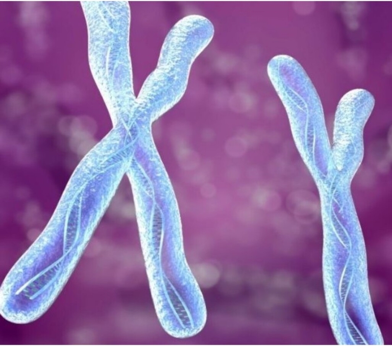 Hội chứng Fragile X là gì? Khi mắc phải hội chứng Fragile X có nguy hiểm không 2