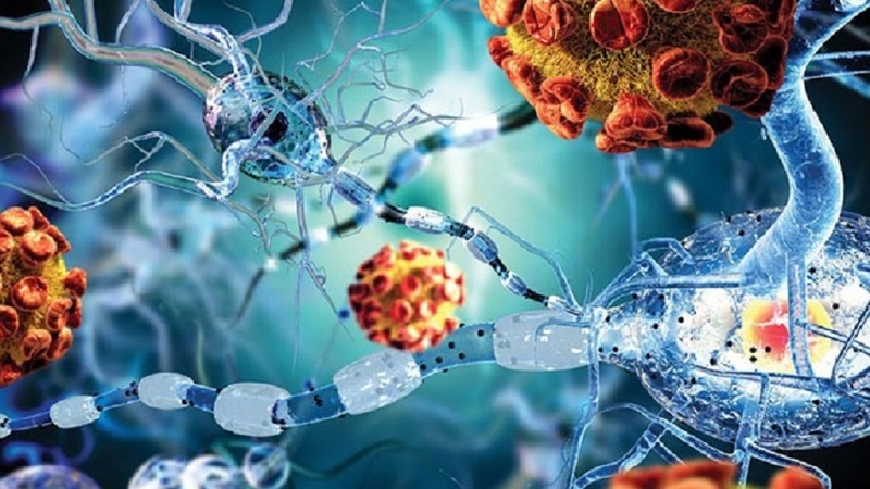 Hội chứng IPEX là gì? Nguyên nhân và triệu chứng nhận biết hội chứng IPEX 2