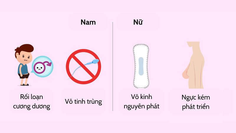 Hội chứng Kallmann: Nguyên nhân, triệu chứng và điều trị 1