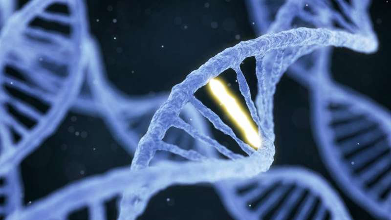 Hội chứng Kartagener: Nguyên nhân, triệu chứng và phương pháp điều trị 1