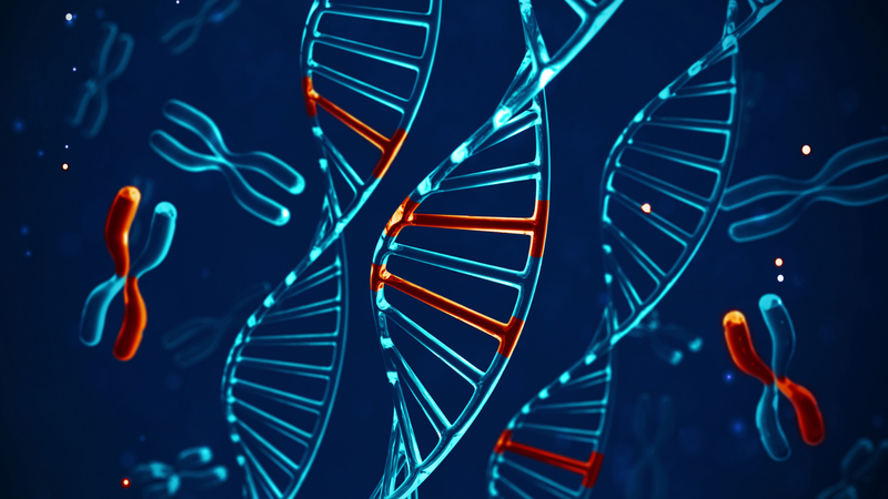 Hội chứng kháng androgen: Nguyên nhân, triệu chứng và cách điều trị 1