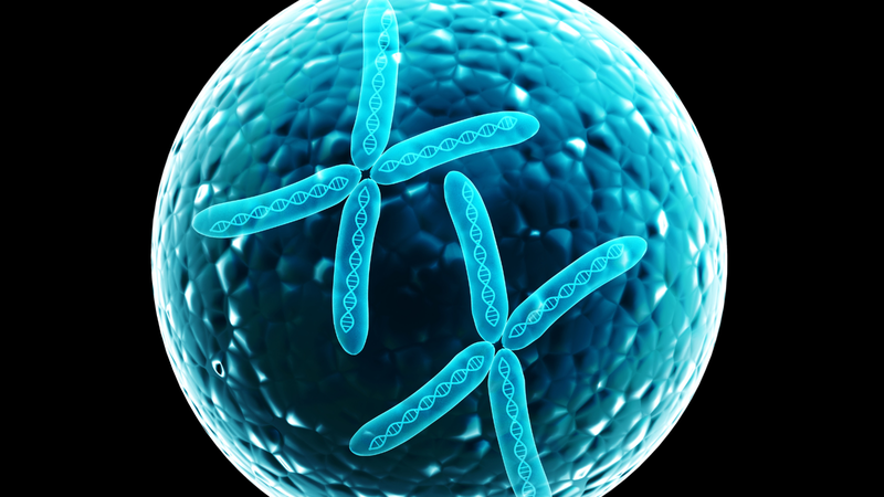 Hội chứng kháng androgen: Nguyên nhân, triệu chứng và cách điều trị 2