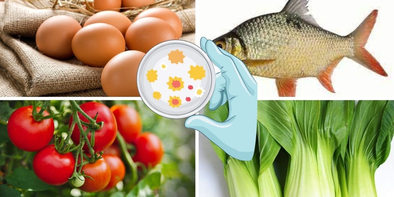 Hội chứng nhiễm trùng và những vấn đề liên quan bạn nên biết 2