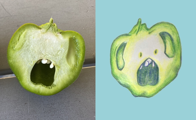 Hội chứng Pareidolia: Khi bộ não “đánh lừa” thị giác con người!v 3