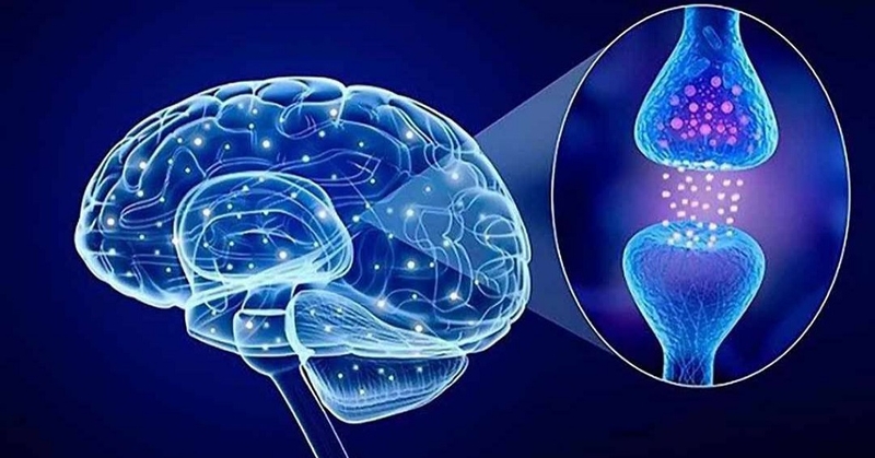 Hội chứng Serotonin: Triệu chứng, nguyên nhân và cách điều trị