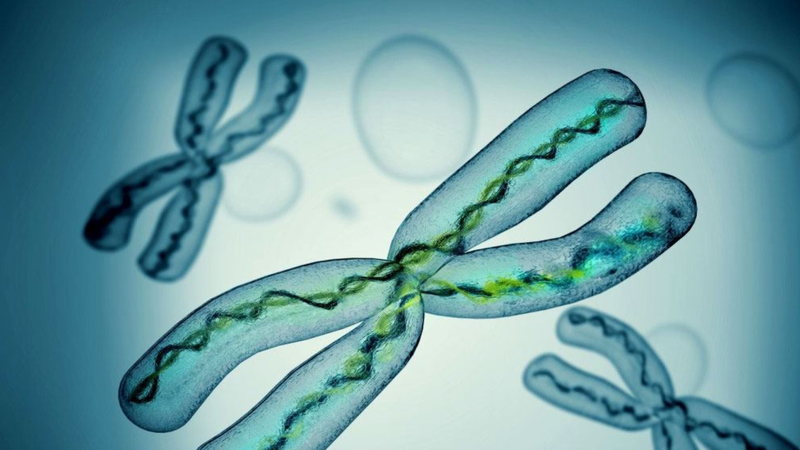 Hội chứng Silver - Russell là gì? Nguyên nhân, triệu chứng và cách điều trị 5