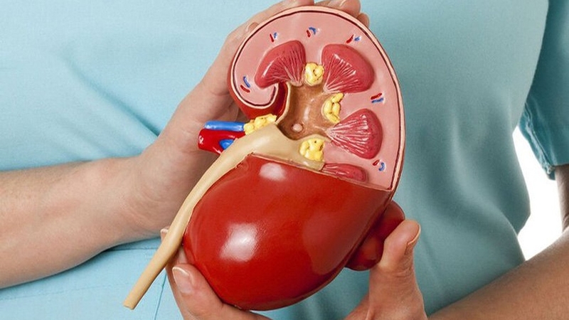 Hội chứng thận hư có nguy hiểm không - Hình 2