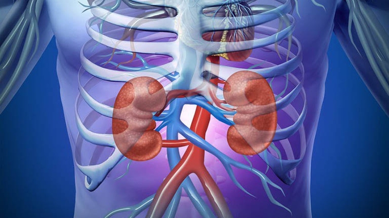 Hội chứng thận hư có nguy hiểm không - Hình 3