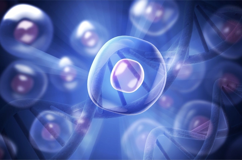 Hội chứng thực bào máu (HLH): Nguyên nhân, triệu chứng, cách điều trị 5