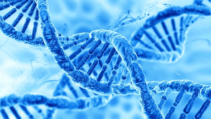 Hội chứng Waardenburg là gì? Nguyên nhân và cách điều trị hội chứng Waardenburg 2