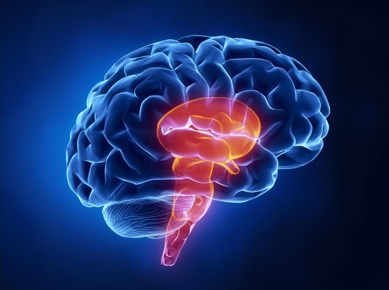 Hội chứng Wallenberg là gì? Nguyên nhân dẫn đến hội chứng Wallenberg