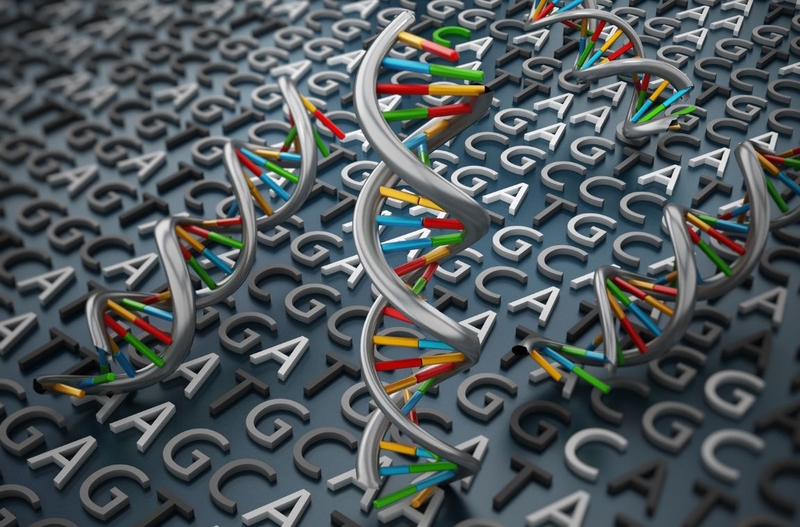 Hội chứng X dễ gãy là gì? Nguyên nhân, triệu chứng và cách điều trị  3