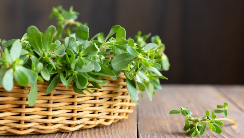 Hỏi đáp: Bà bầu dùng ASA trị hắc lào ở háng được không? 3