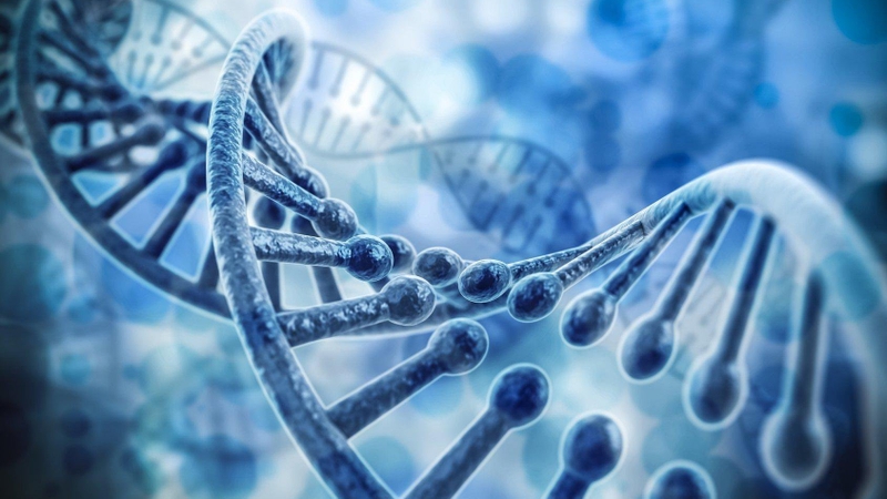 Hỏi đáp: Bệnh thận có di truyền không?