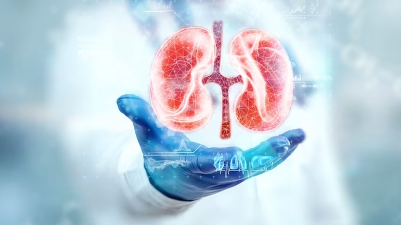 Hỏi đáp: Bệnh thận có di truyền không?