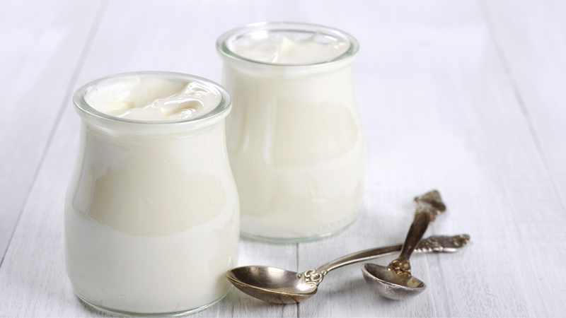 Sữa chua bổ sung hệ vi khuẩn đường ruột tốt