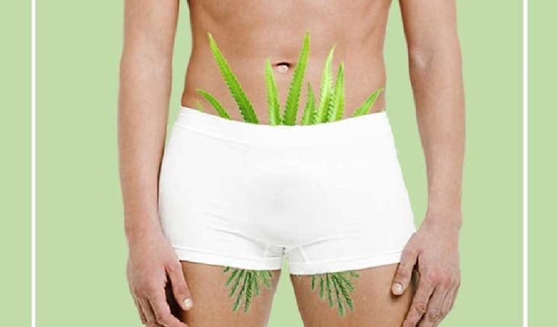 [Hỏi đáp] Cạo lông vùng kín nam có ảnh hưởng gì không? 1